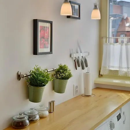 Argentis Psie Budy Iv *